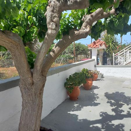 Mulberry House Hotel Elafonissos Buitenkant foto
